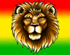 lion frica